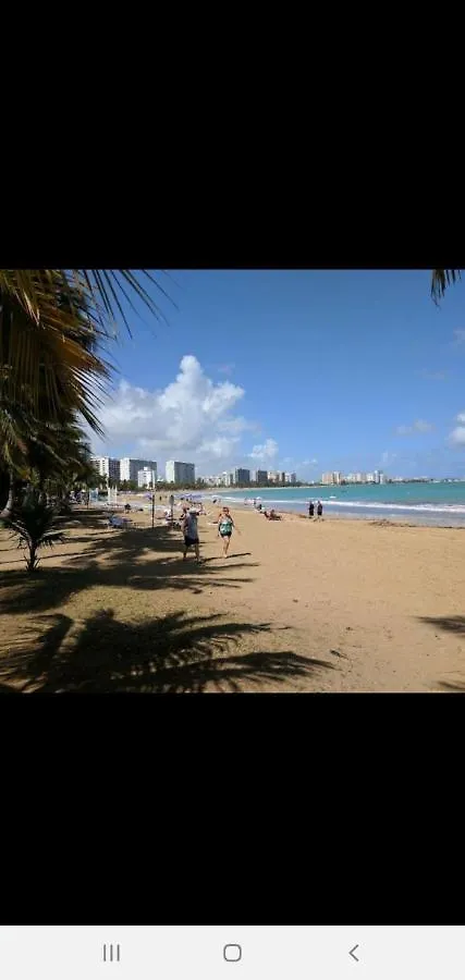 Mjac Apartment Jungle Beach San Juan Portoriko