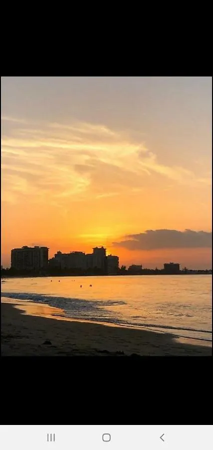 Mjac Apartment Jungle Beach サンジョアン