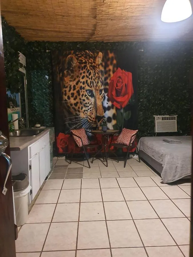 Mjac Apartment Jungle Beach サンジョアン